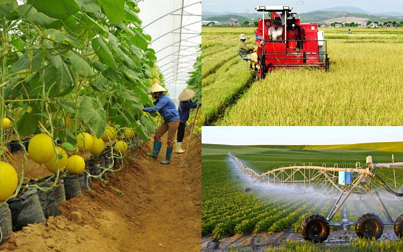 Tìm hiểu về nền nông nghiệp nước ta