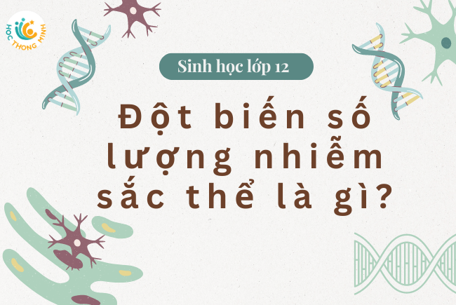 Đột biến số lượng nhiễm sắc thể là gì?
