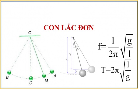 Công thức tính chu kỳ và tần số con lắc đơn